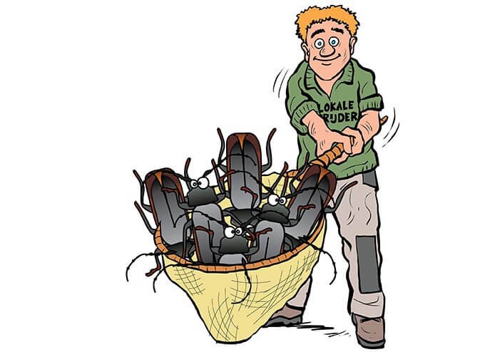 voorbereiding boktor bestrijding